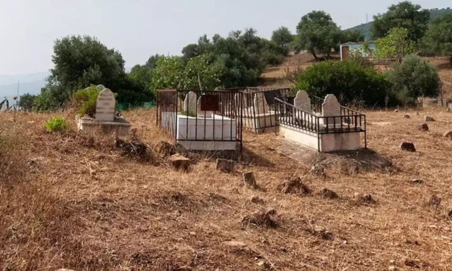 Ex-convict arrested in MP over digging up graves for occult ritual to ‘increase his power’