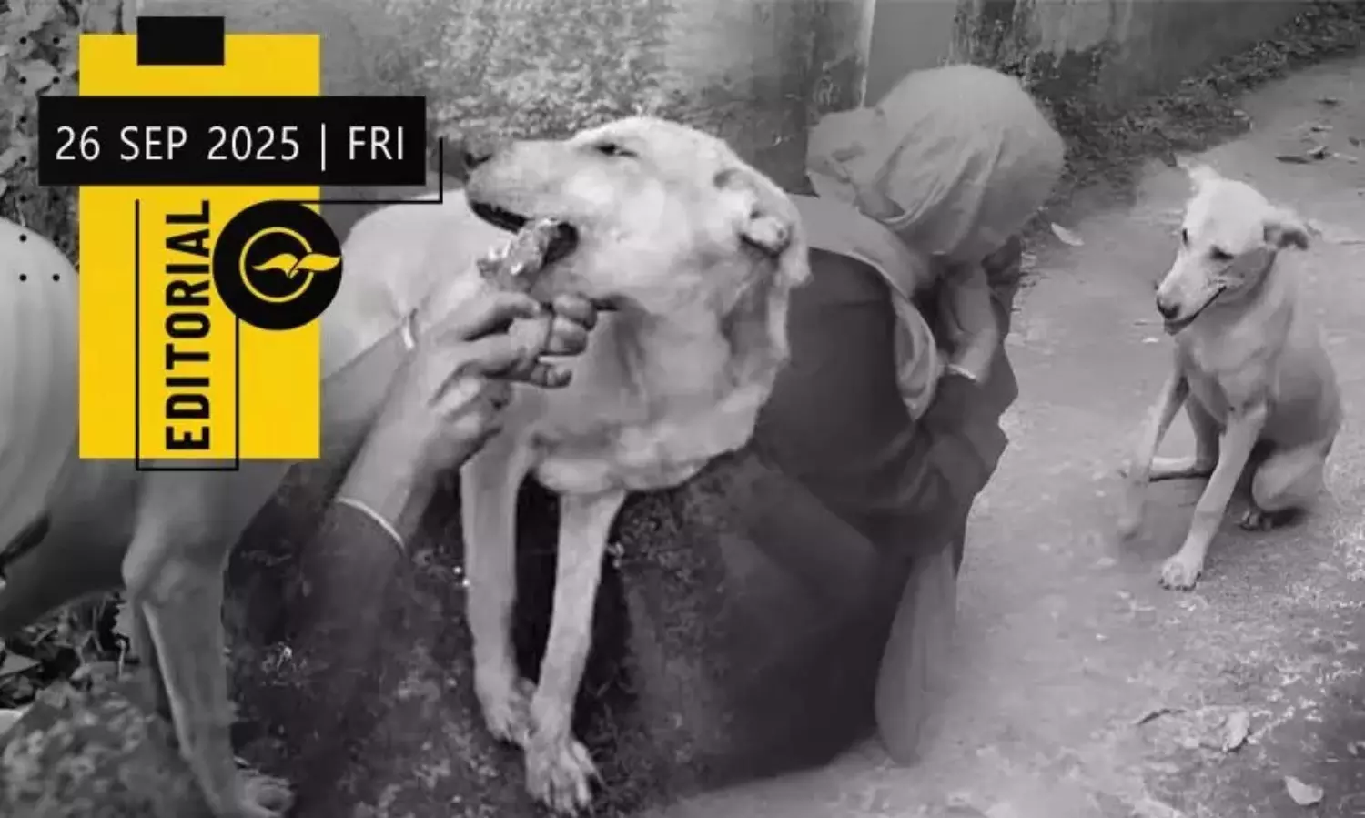 The Keralite empire on the map of love