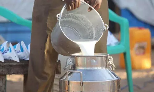 India remains world’s largest milk producer, accounts for quarter of global output