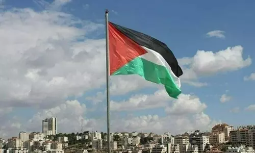 Arab, Muslim states support Trump’s Gaza Peace Plan, stress two-state solution