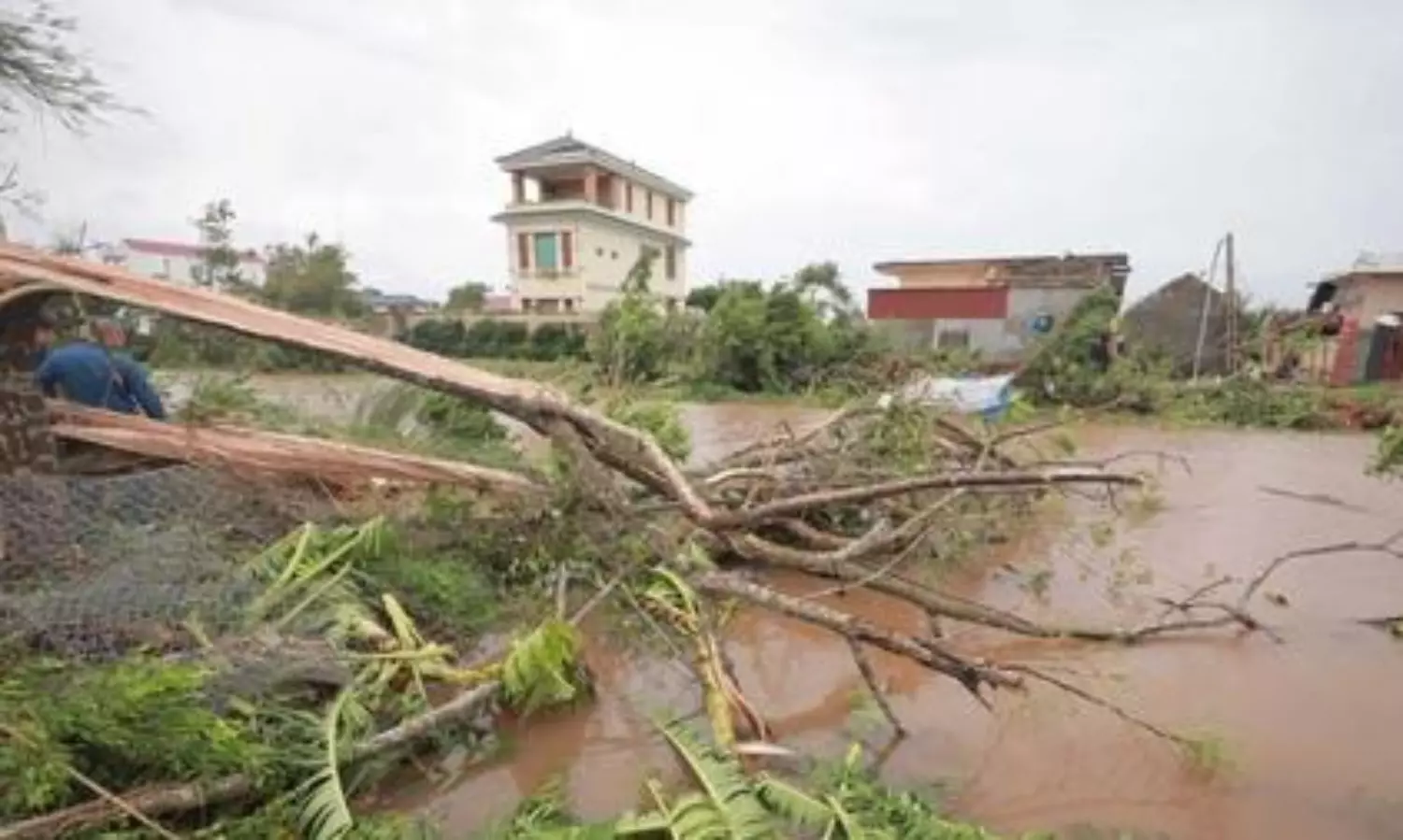 Typhoon Bualoi kills 51 in Vietnam, causes massive damage