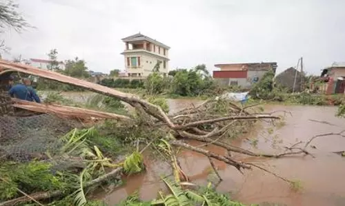 Typhoon Bualoi kills 51 in Vietnam, causes massive damage