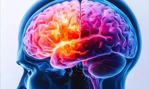 Deadly brain cancer found to erode skull, alter immune response: Study