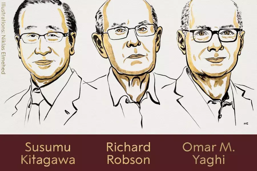 Trio of scientists win 2025 Chemistry Nobel for metal-organic frameworks