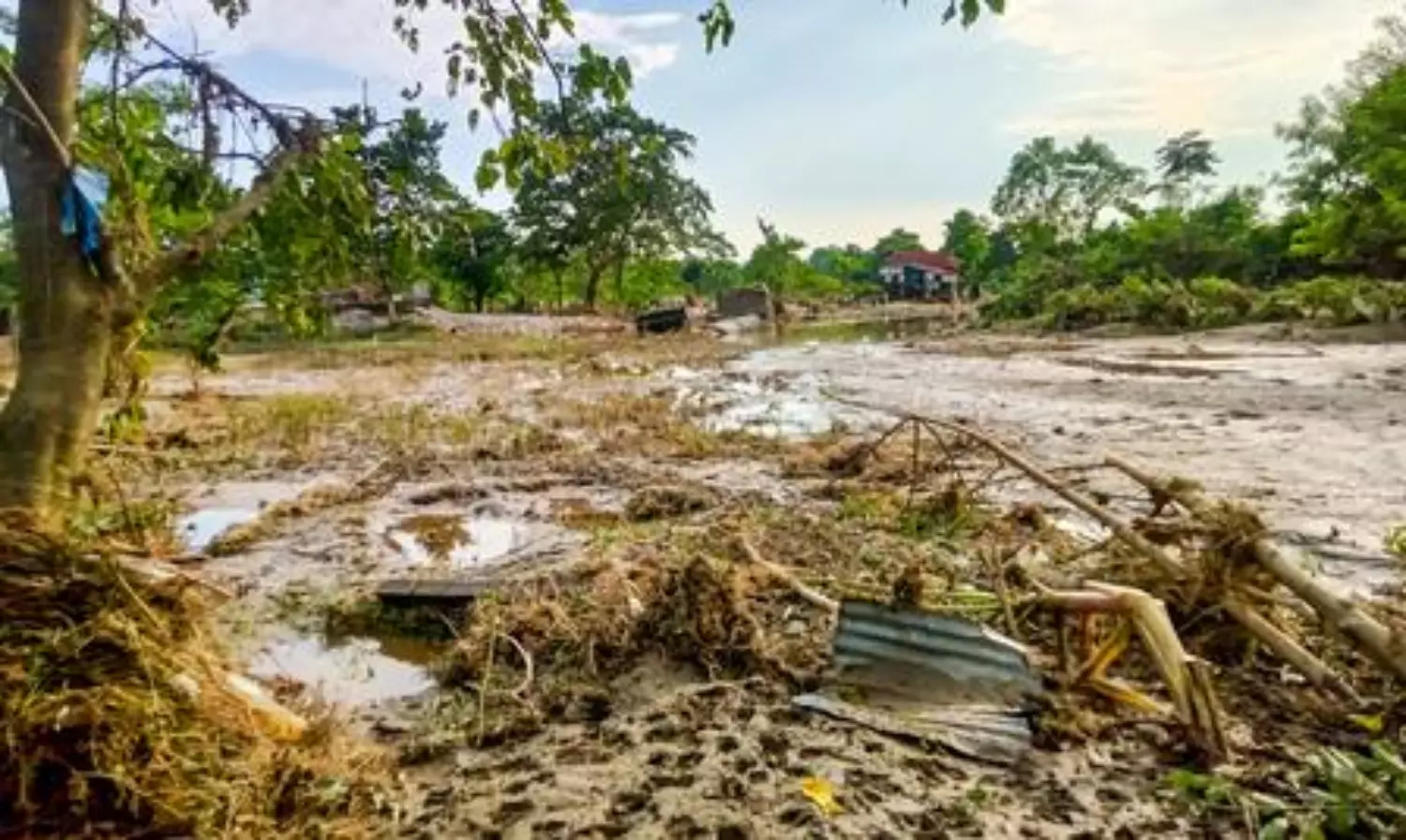 North Bengal landslides: Death toll climbs to 39 as rescuers reach remote areas
