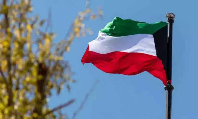 Ceasefire: Relative calm returns to Gaza, says report