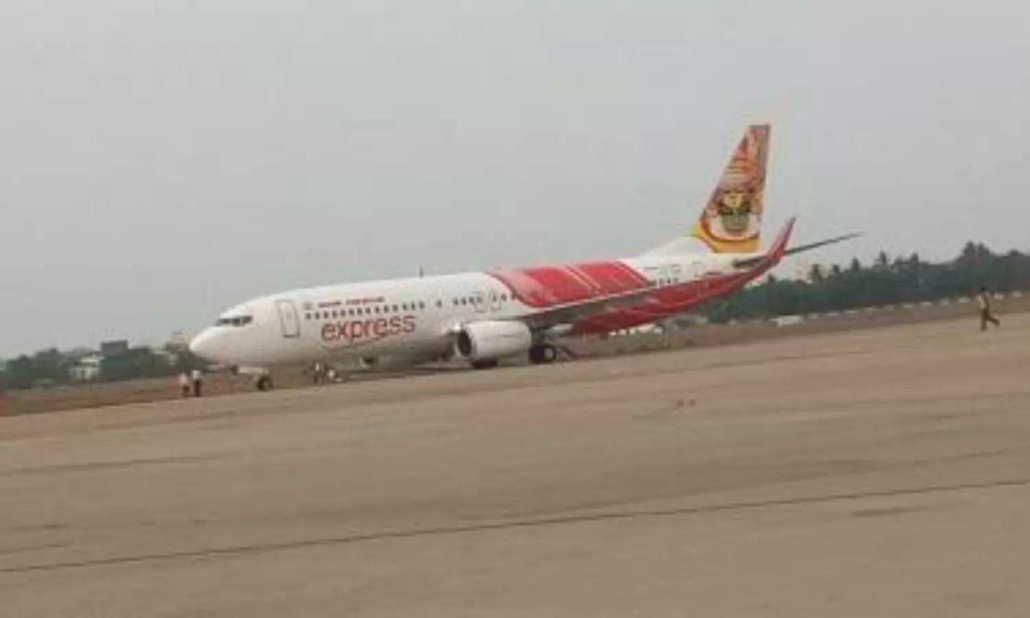 Citing repeated snags, FIP demands grounding of Air India Boeing 787 flights