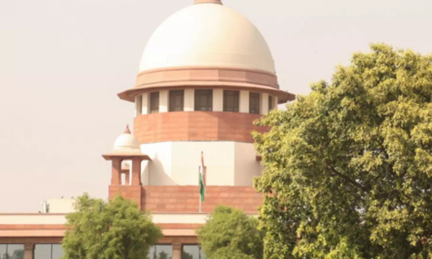 SC junks plea alleging grave irregularities in electoral rolls