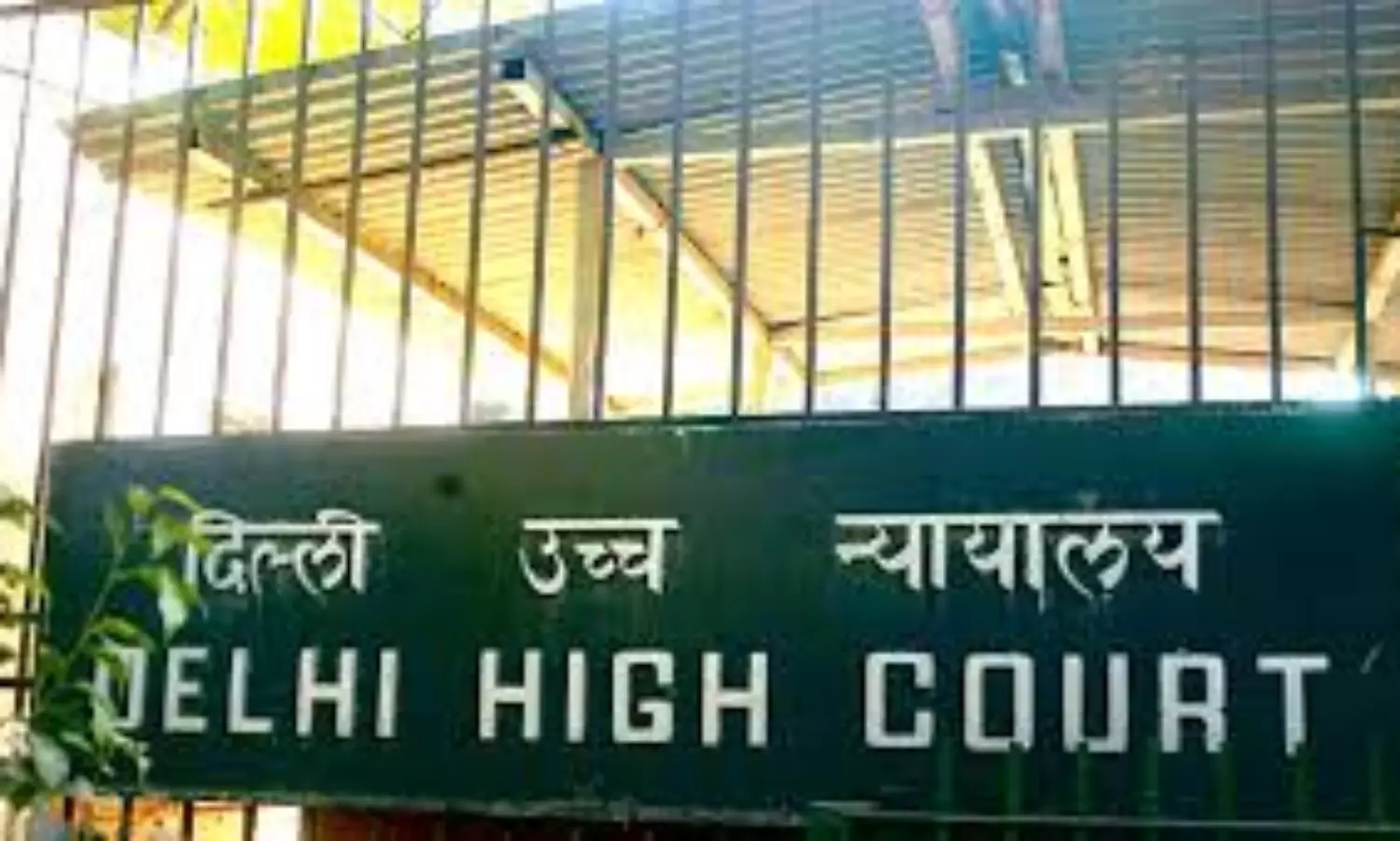 Delhi High Court upholds POCSO conviction citing child survivor’s limited vocabulary