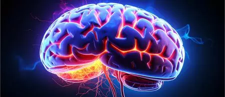 Women face higher risk of multiple sclerosis, Alzheimers; Heres why Women face higher risk of multiple sclerosis, Alzheimers; Heres why