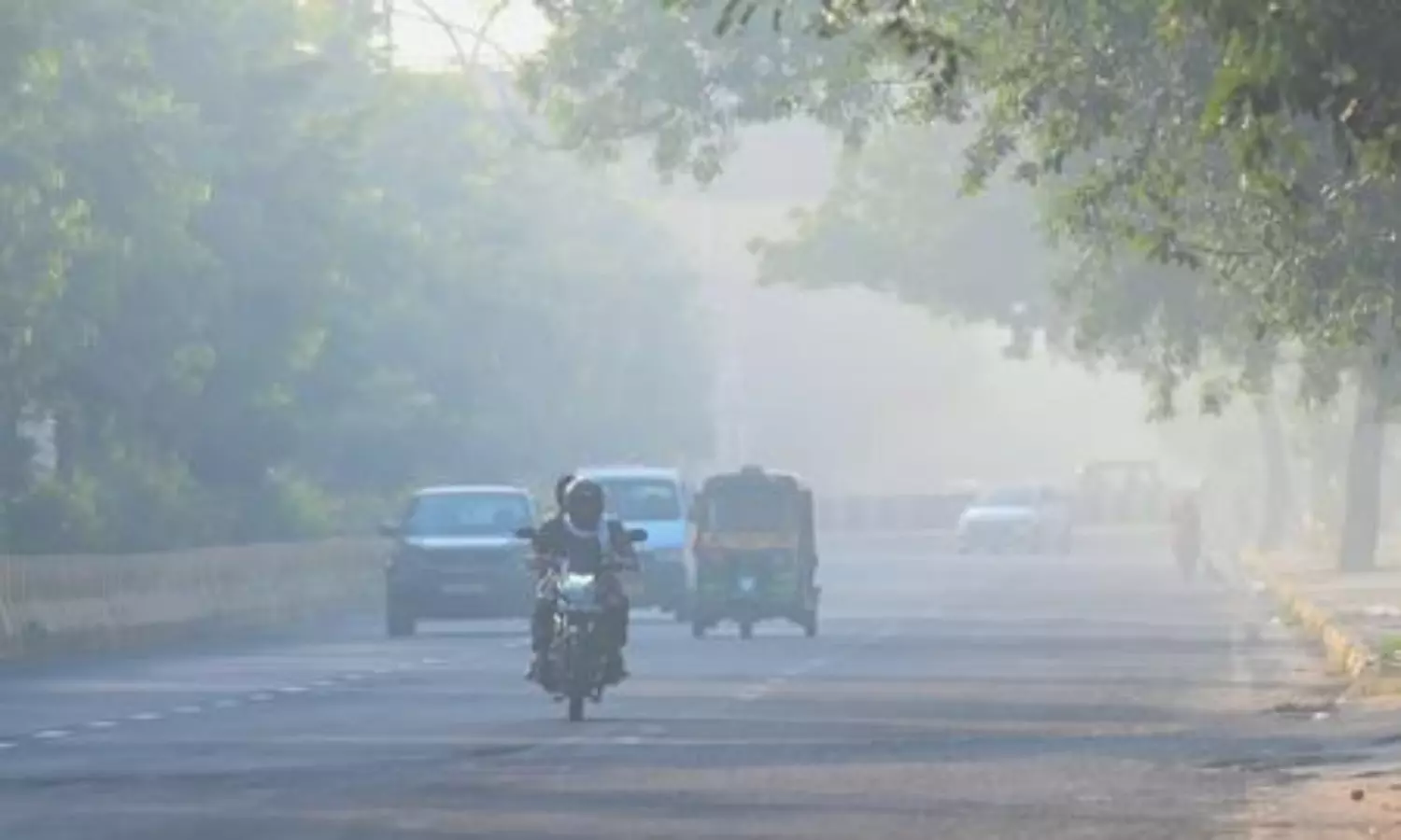 Air pollution exposure during pregnancy may slow brain development in newborns: Study