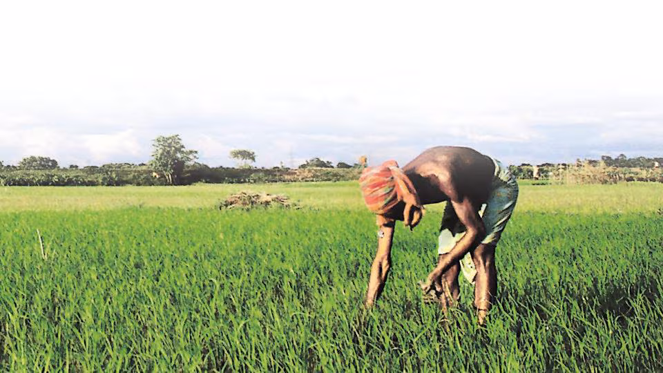 5 booked in UP for deceiving Dalit farmer, seizing land