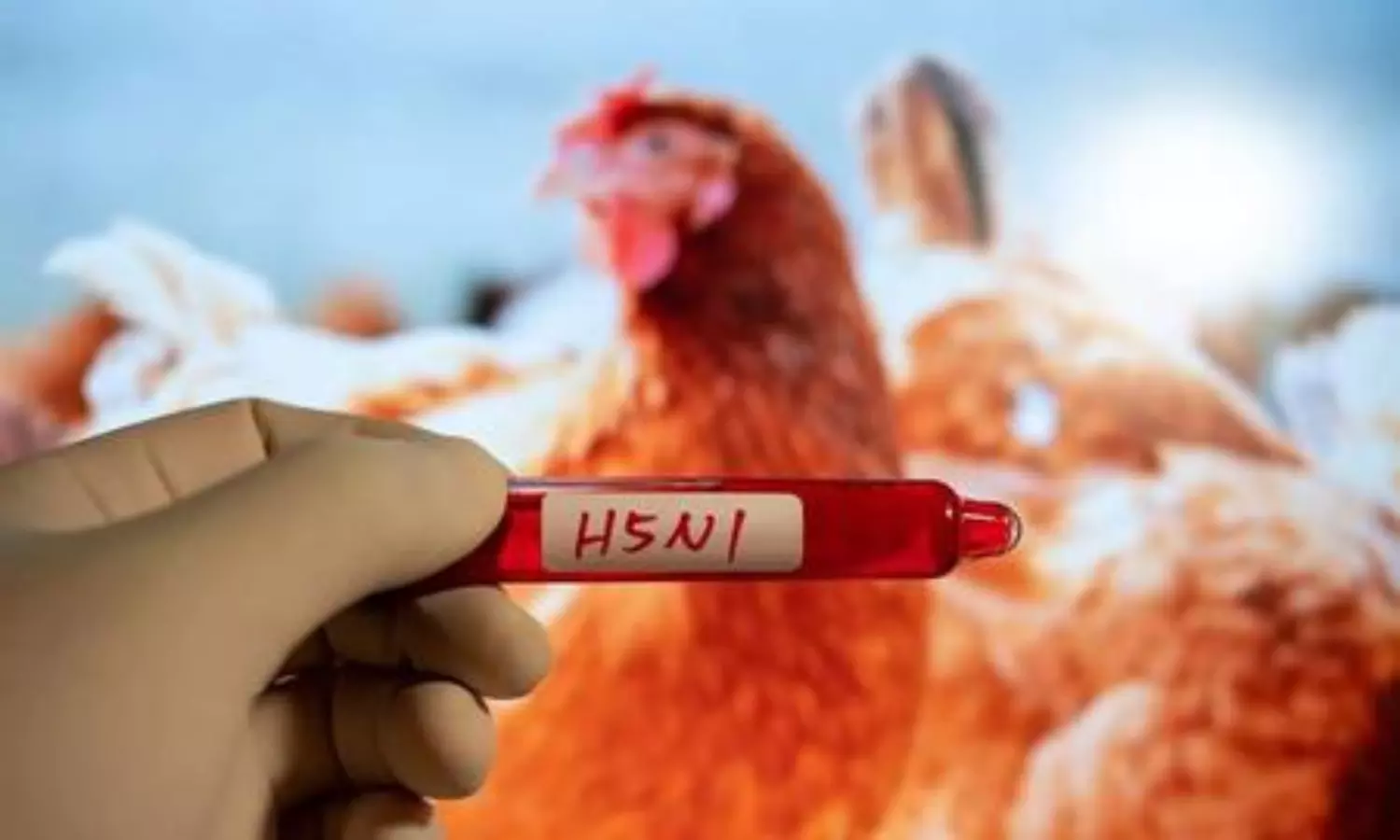 Japan confirms first bird flu outbreak of the season in Hokkaido