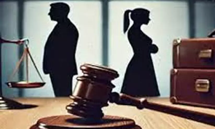Deliberate verbal abuse degrading husband is mental cruelty: HC
