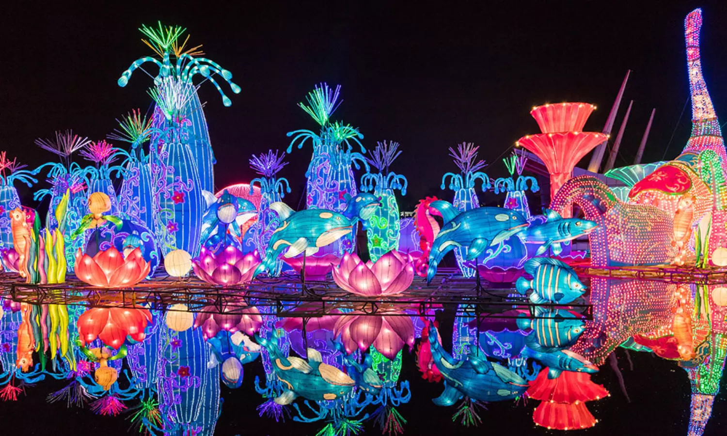 Dubai Garden Glow to reopen near Dubai Frame with new attractions