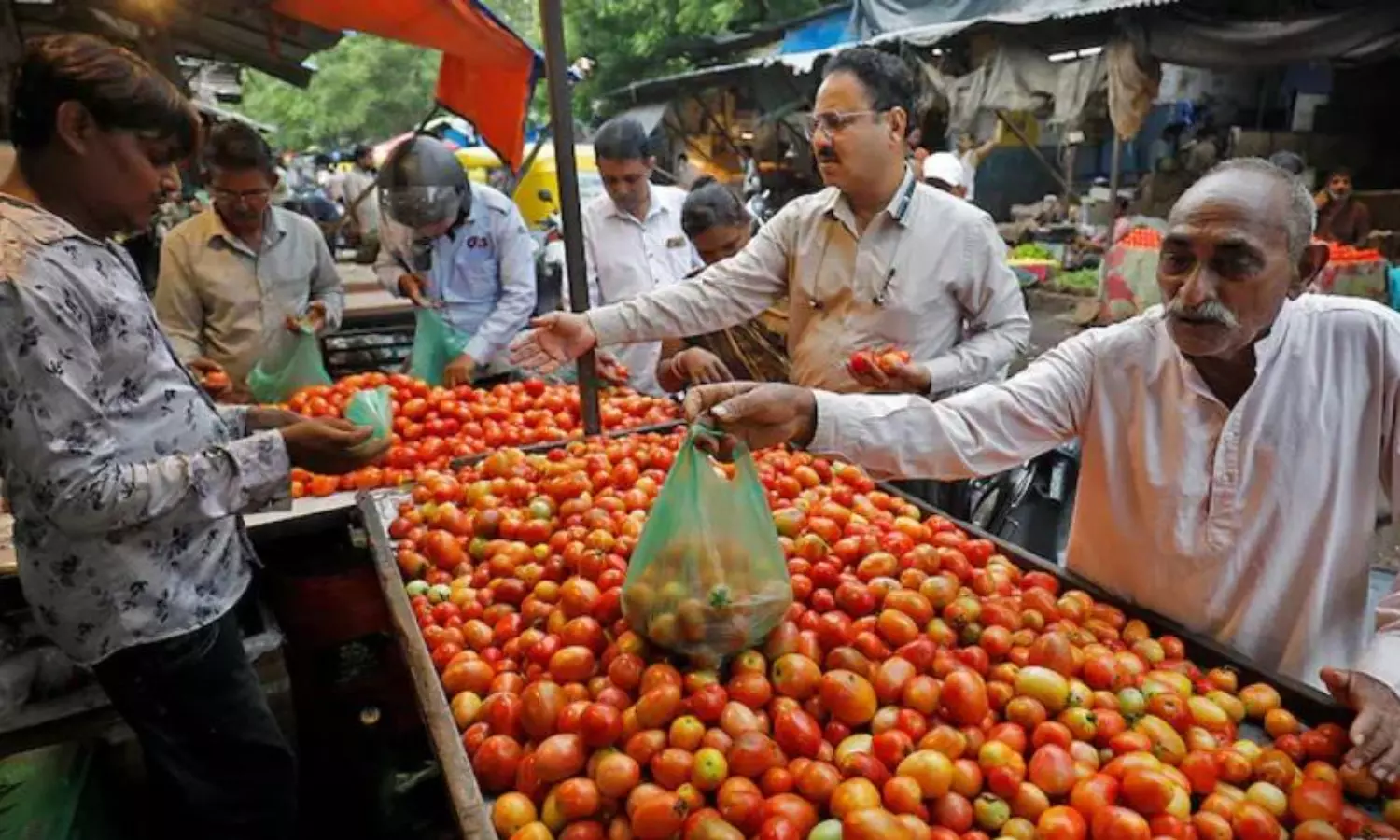 India inflation expected at 2.1 pc in FY26, RBI rate cut likely