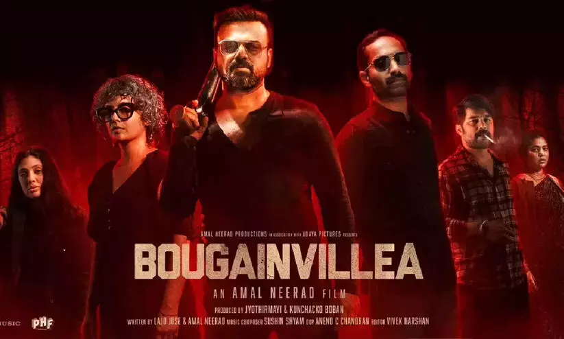 Consider Bougainvilleas request to enter National Awards: HC