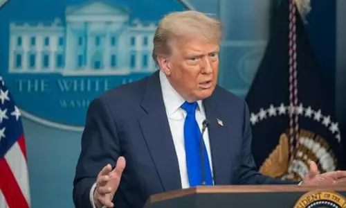 Trump cuts food import tariffs; Indian mango and tea exports set to gain Trump cuts food import tariffs; Indian mango and tea exports set to gain