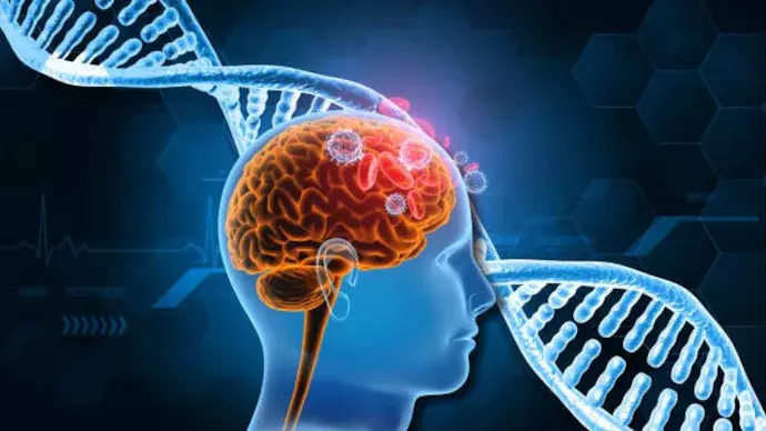 Study finds single gene that causes schizophrenia, mental illnesses Study finds single gene that causes schizophrenia, mental illnesses