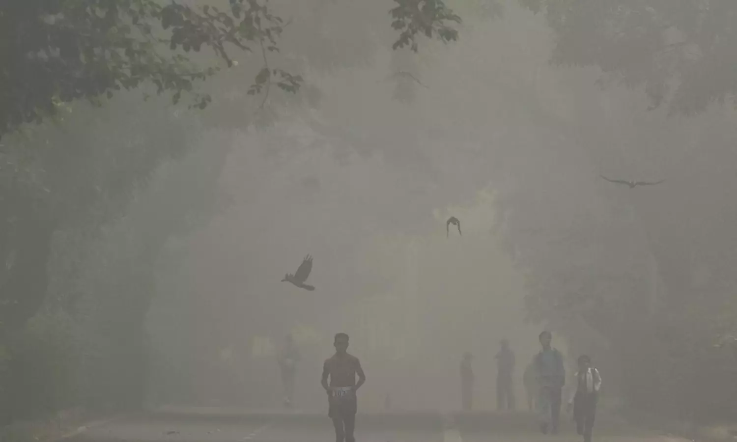 CAQM calls GRAP-4 reports ‘misleading’, confirms only stage-3 in Delhi-NCR