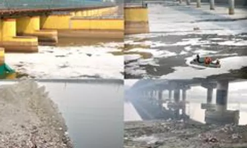 Toxic foam reappears on Yamuna after Chhath Puja
