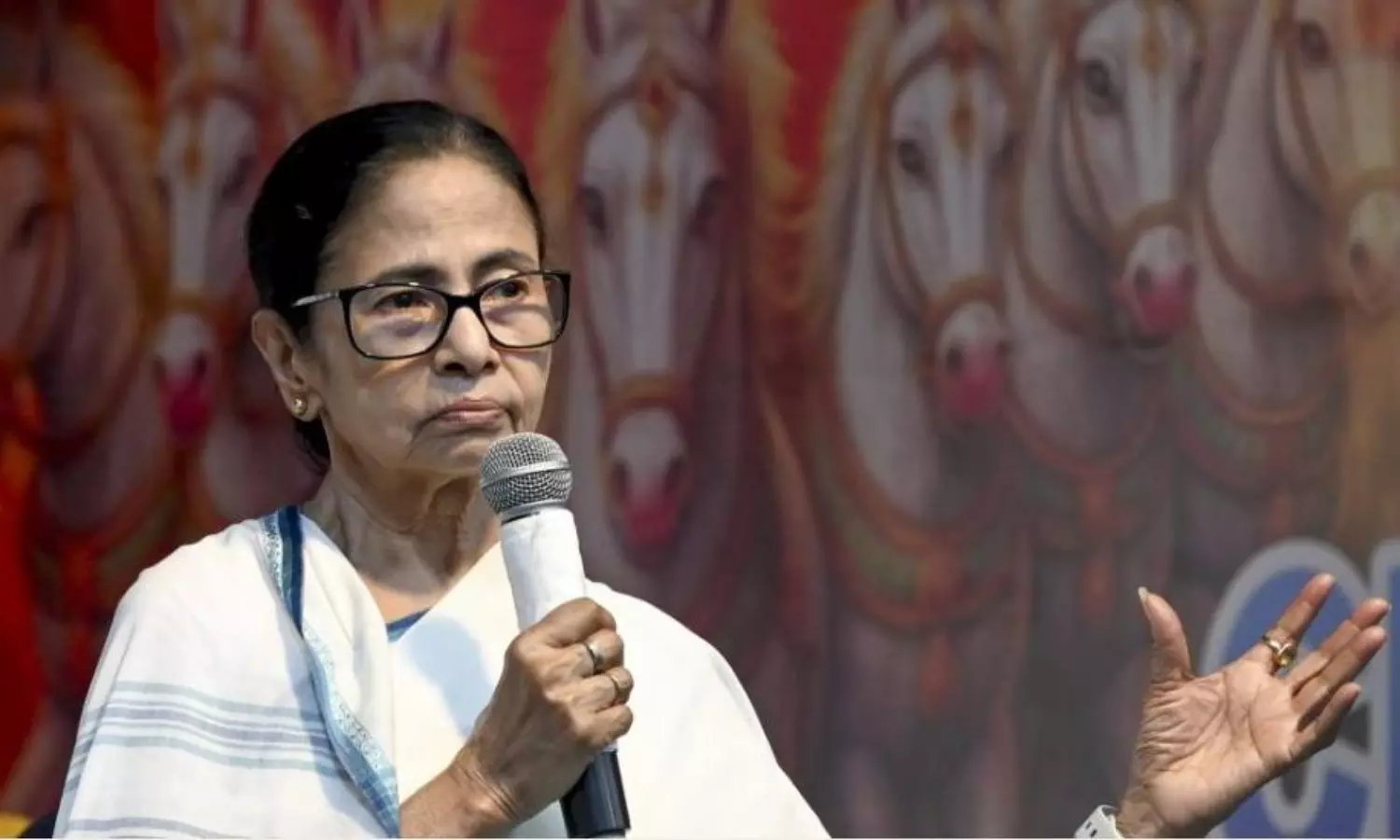 Mamata Banerjee asks CEC to halt SIR citing ‘unrealistic workload, impossible timelines’