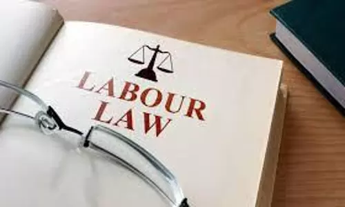 labour law labour law