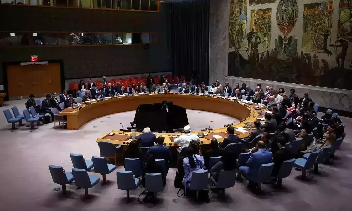 Who will save the Security Council?