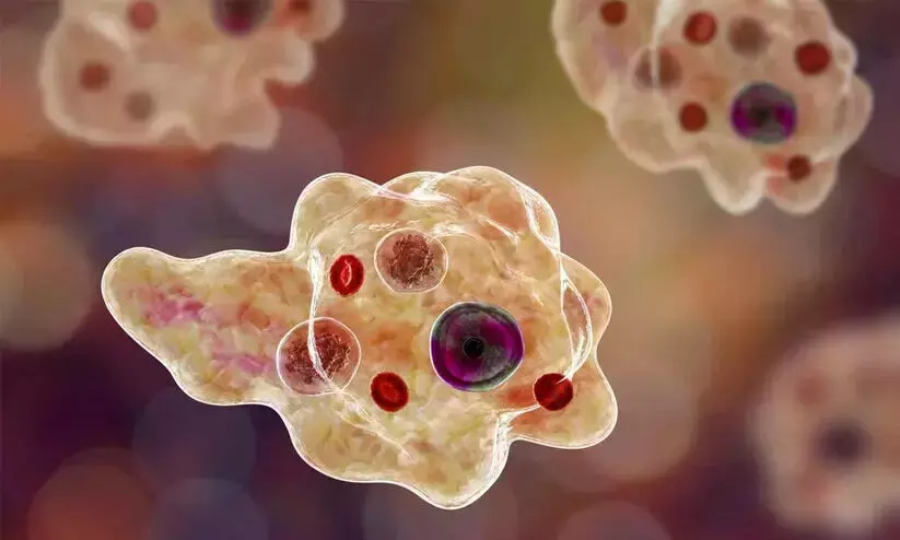 Amoebic encephalitis scare continues in Kerala: 9 deaths in 22 days