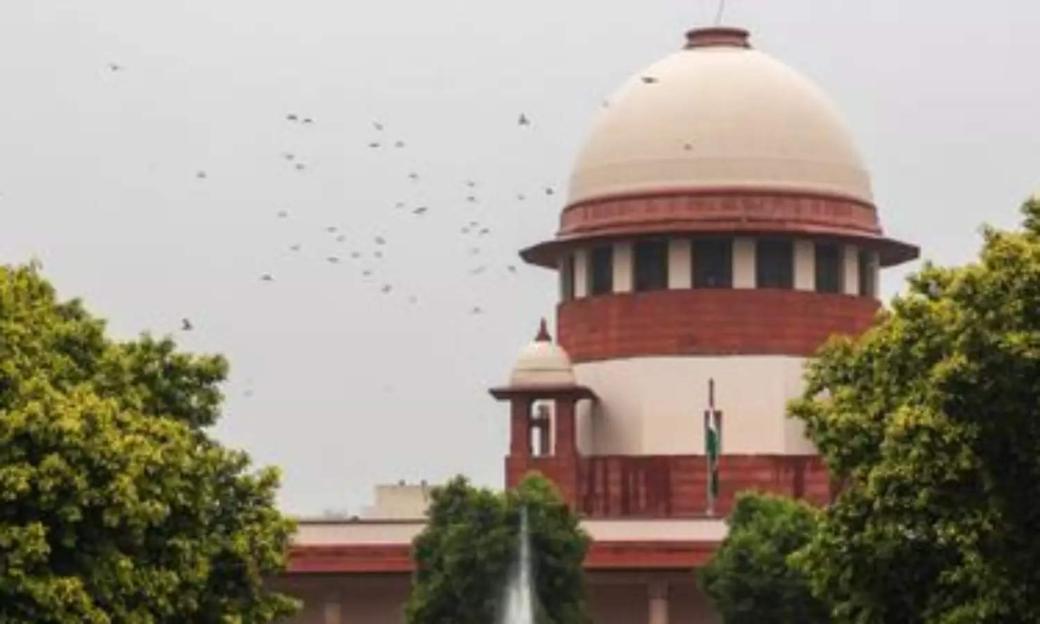 SC will consider petition to revive NJAC and replace collegium system: CJI