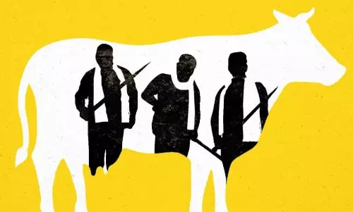 Hindutva groups call for revenge against Muslims after stray dog leaves carcass of calf near temple