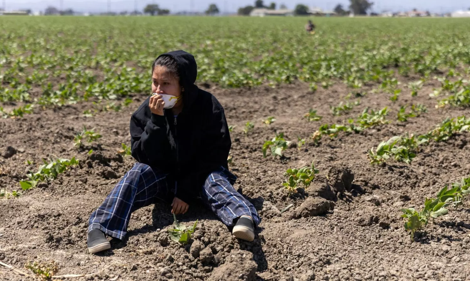 US hunger soars as Trump’s ‘efficiency’ policies trigger massive food waste