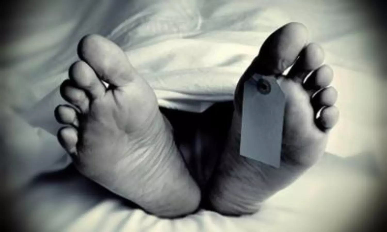 Rats nibbling dead in Haryana mortuary: NHRC seeks response