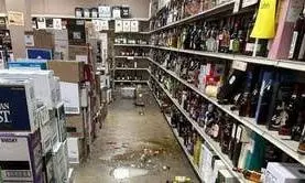 drunk raccoon drunk raccoon