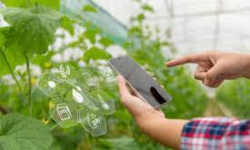India faces hurdles in scaling digital farm technologies despite pilot success
