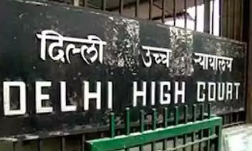 Lawyer appears with red-taped lips: Delhi HC says, ‘unbecoming’ conduct