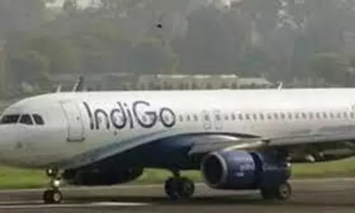 indigo