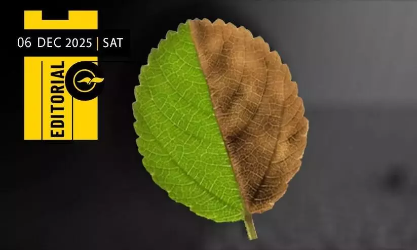 Extreme weather and frenzied politics Extreme weather and frenzied politics