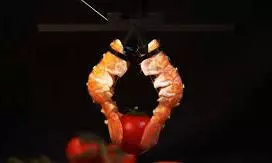lobster  robots