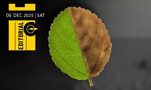 Extreme weather and frenzied politics Extreme weather and frenzied politics