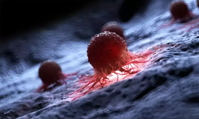 New antibody therapy shows potential in blood cancer treatment