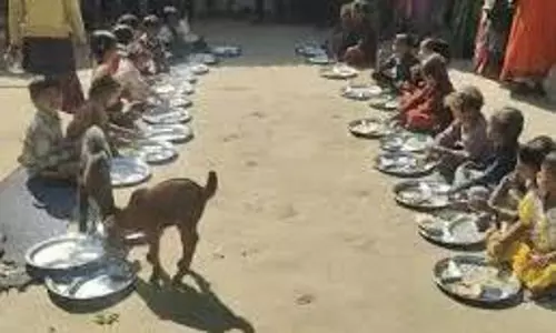 Goats eat mid-day meal beside children in Madhya Pradesh Anganwadi Goats eat mid-day meal beside children in Madhya Pradesh Anganwadi