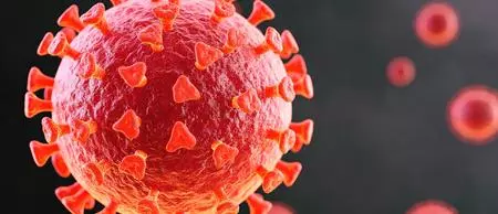 AIIMS study finds no link between Covid-19 vaccines, sudden deaths in young adults AIIMS study finds no link between Covid-19 vaccines, sudden deaths in young adults