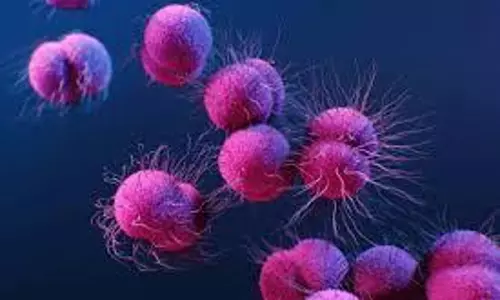 drug-resistant gonorrhoea drug-resistant gonorrhoea