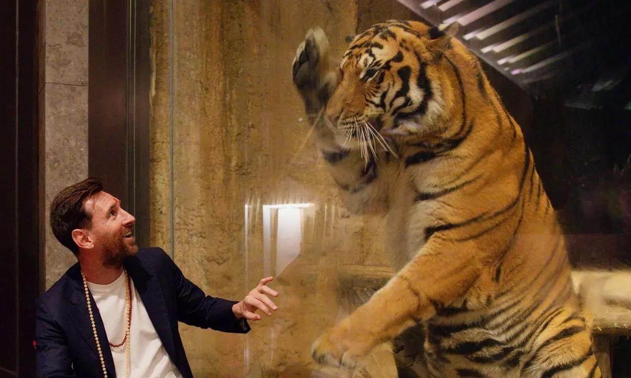 From pitch to pujas: Messi plays football with elephant, gets traditional welcome at Ambani’s Vantara