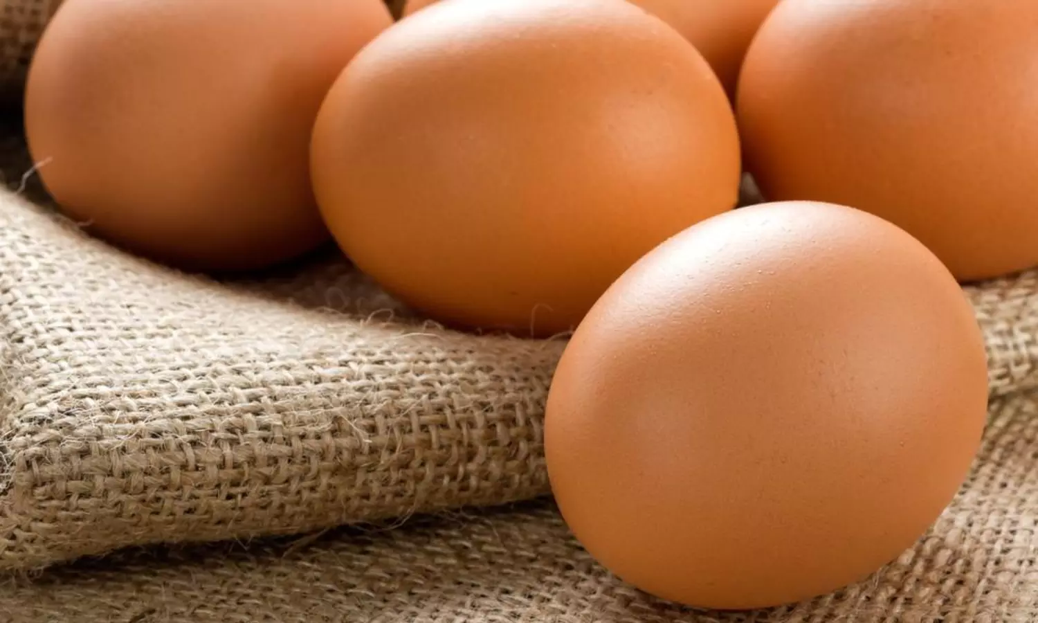 Misleading and unscientific: FSSAI dismisses claims of cancer-causing eggs