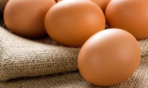 Misleading and unscientific: FSSAI dismisses claims of cancer-causing eggs