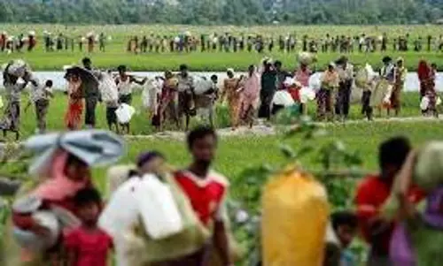 Rohingya