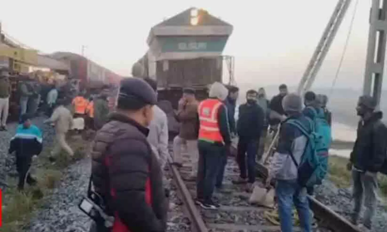 Train rams into elephant herd in Assam killing 8 of them