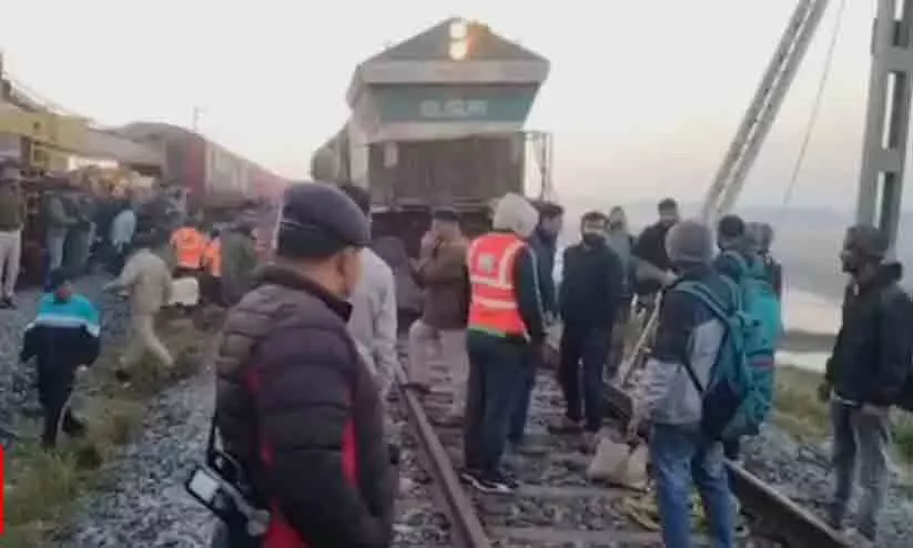 Train rams into elephant herd in Assam killing 8 of them Train rams into elephant herd in Assam killing 8 of them